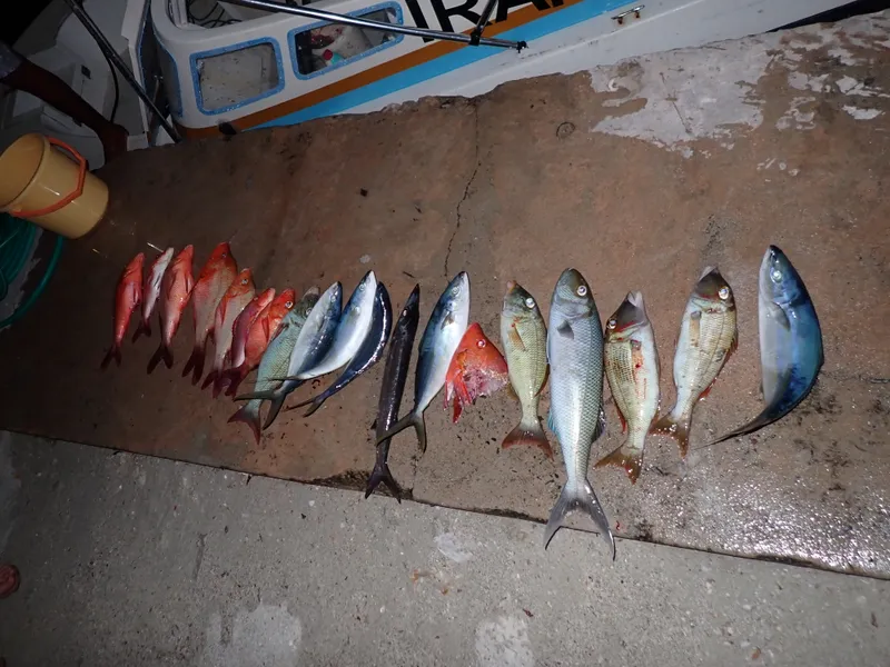 Sunset Fishing